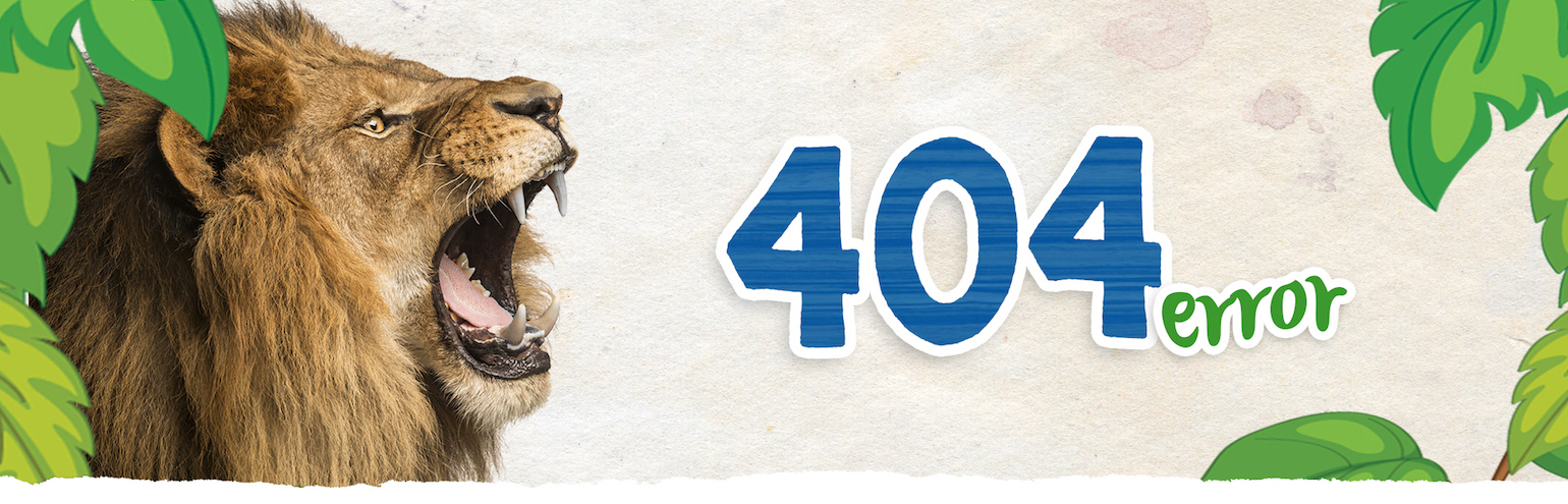 404 Page